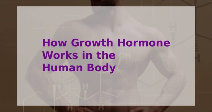 How Growth Hormone Works in the Human Body