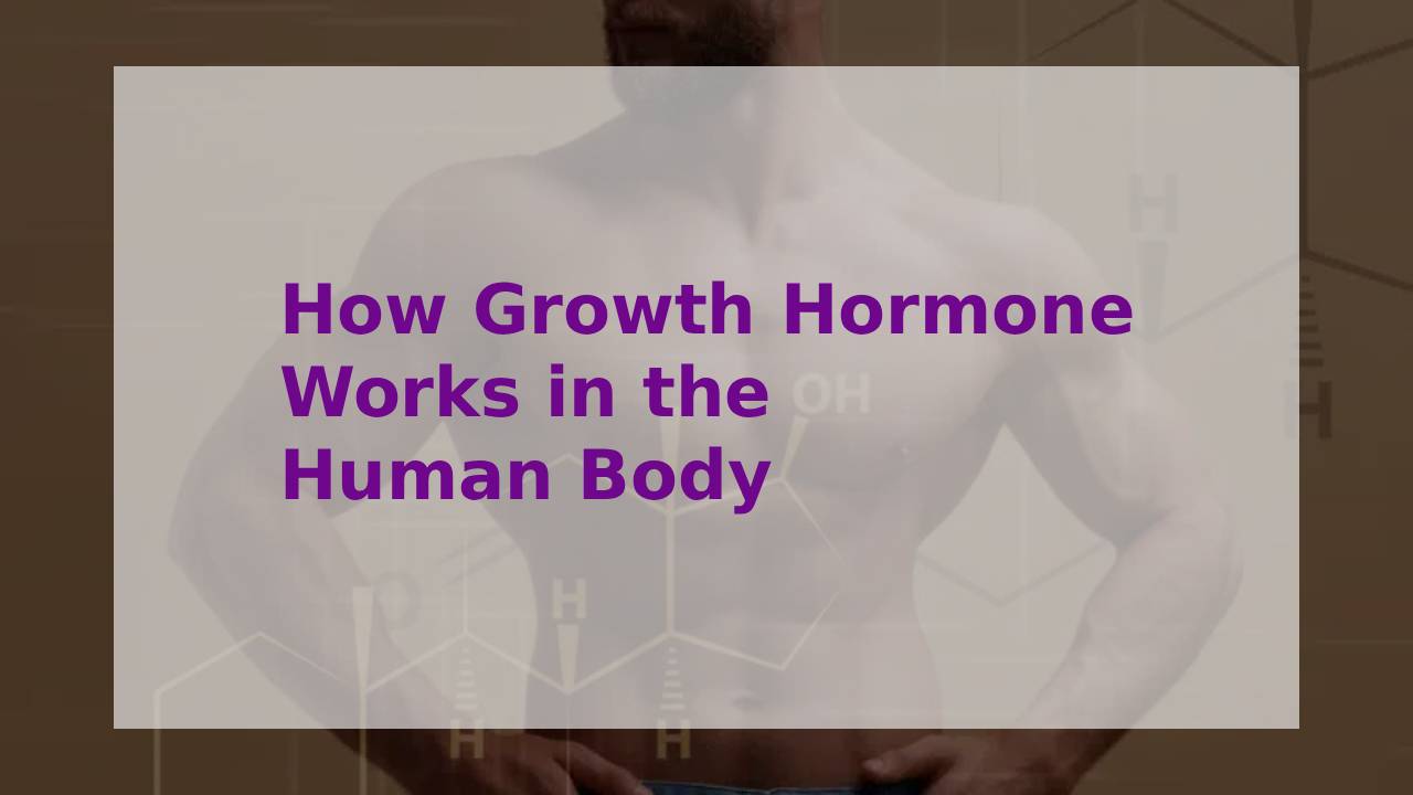 How Growth Hormone Works in the Human Body